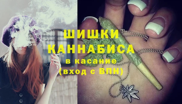 спайс Алексин