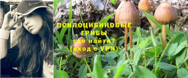 скорость Алзамай